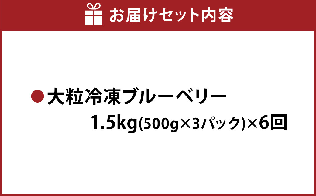 【6か月連続定期便】 熊本県産 大粒 冷凍 ブルーベリー 1.5kg（500g×3パック）×6回 合計9kg