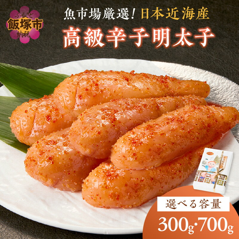【ふるさと納税】＼容量が選べる！／ 魚市場厳選!日本近海産高級辛子明太子 300g 700g 選べる 明太子 辛子明太子 冷凍 ふるさと納税 明太子 【1204レビューCP】