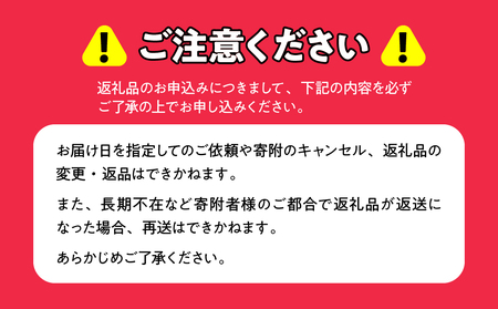 【ジャパン・フード・セレクション グランプリ受賞！】飯舘村名物 いいたて雪っ娘 かぼちゃペースト 2kg ITTAB005