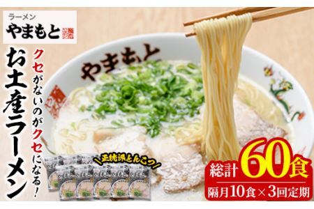 ＜定期便・全6回(隔月)＞お土産ラーメン 豚骨ラーメン(総量60食・10食×6回)とんこつ 豚骨 福岡 筑前ラーメン 常温 常温保存 定期便【ksg1443】【ラーメンやまもと春日本店】