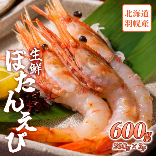 超速リキッド凍結でドリップゼロ！北海道羽幌産生鮮ぼたんえび 600g（200g×3パック）【03118】