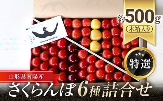 【令和8年産先行予約】 さくらんぼ 6種詰合せ 約500g (特選 木箱入り) 《令和8年6月中旬～発送》 『最上園』 サクランボ セット 食べ比べ 果物 フルーツ デザート 生産農家直送 月山錦 さがえ 大将錦 紅秀峰 サミット 佐藤錦 紅夢鷹 子夏 山形美人 絢のひとみ 山形県 南陽市 [681]