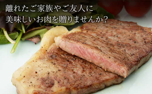 【3回定期便】 佐賀和牛 ロース 厚切り 切落し 600g (300g×2P) 【一ノ瀬畜産】 [NAC125] 牛肉 佐賀県産 黒毛和牛 焼肉 BBQ バーベキュー 定期便