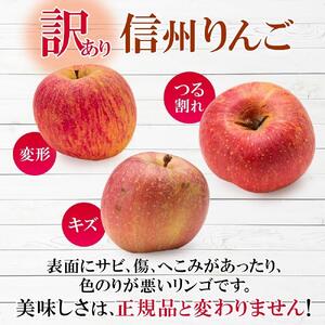 ＜26年９月下旬頃～発送 先行予約＞長野県産 りんご シナノピッコロ 訳あり 約3kg リンゴ 旬 フルーツ 訳アリ 林檎 果物 規格外 自家用 産地直送 農園 産直 お取り寄せ もぎたて 採れたて 