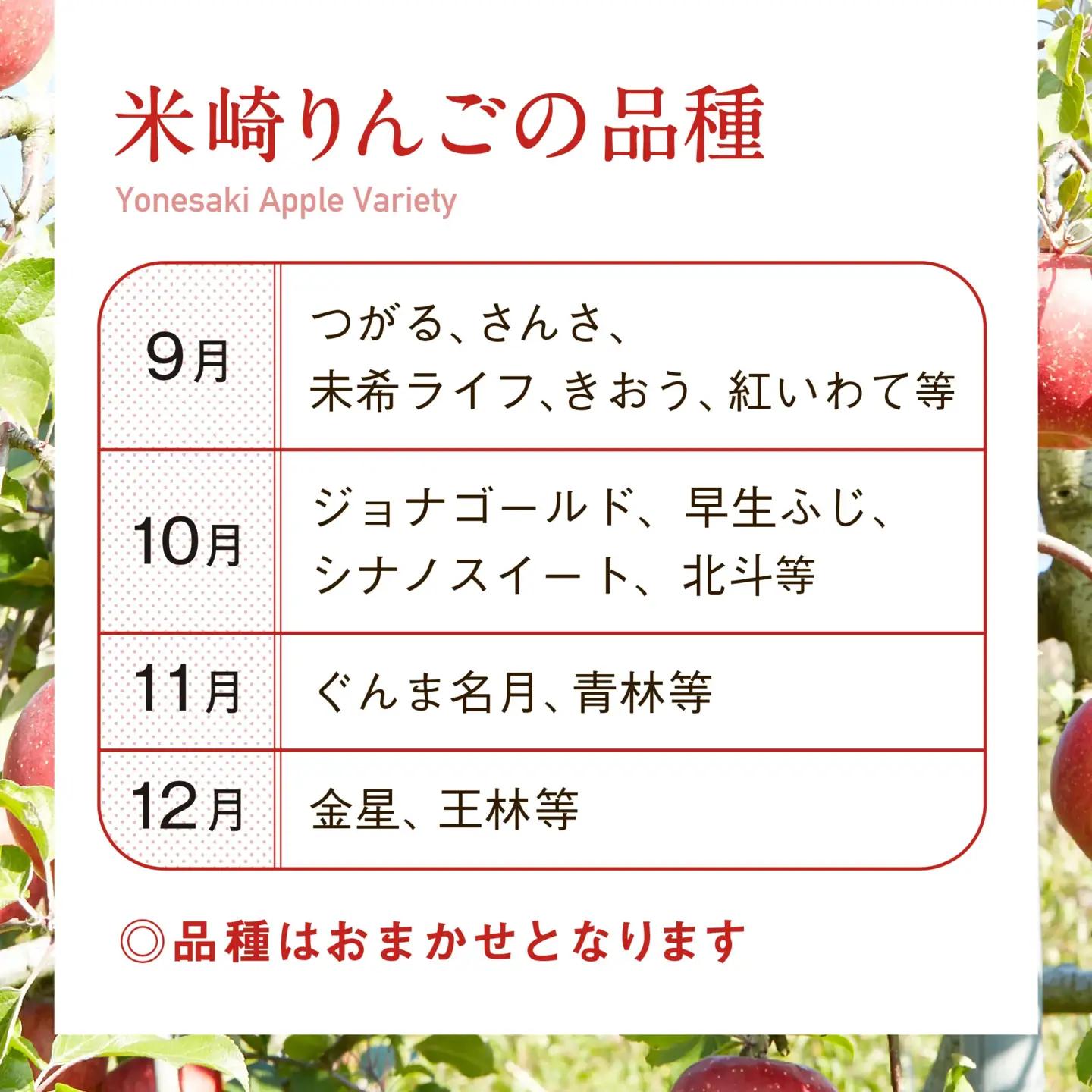 米崎りんご 品種おまかせ 3kg りんご 9月頃から発送予定