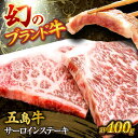 【ふるさと納税】五島牛サーロインステーキ 200g×2枚 ステーキ サーロイン 肉 牛肉 五島市/株式会社 Factory[PFN014]