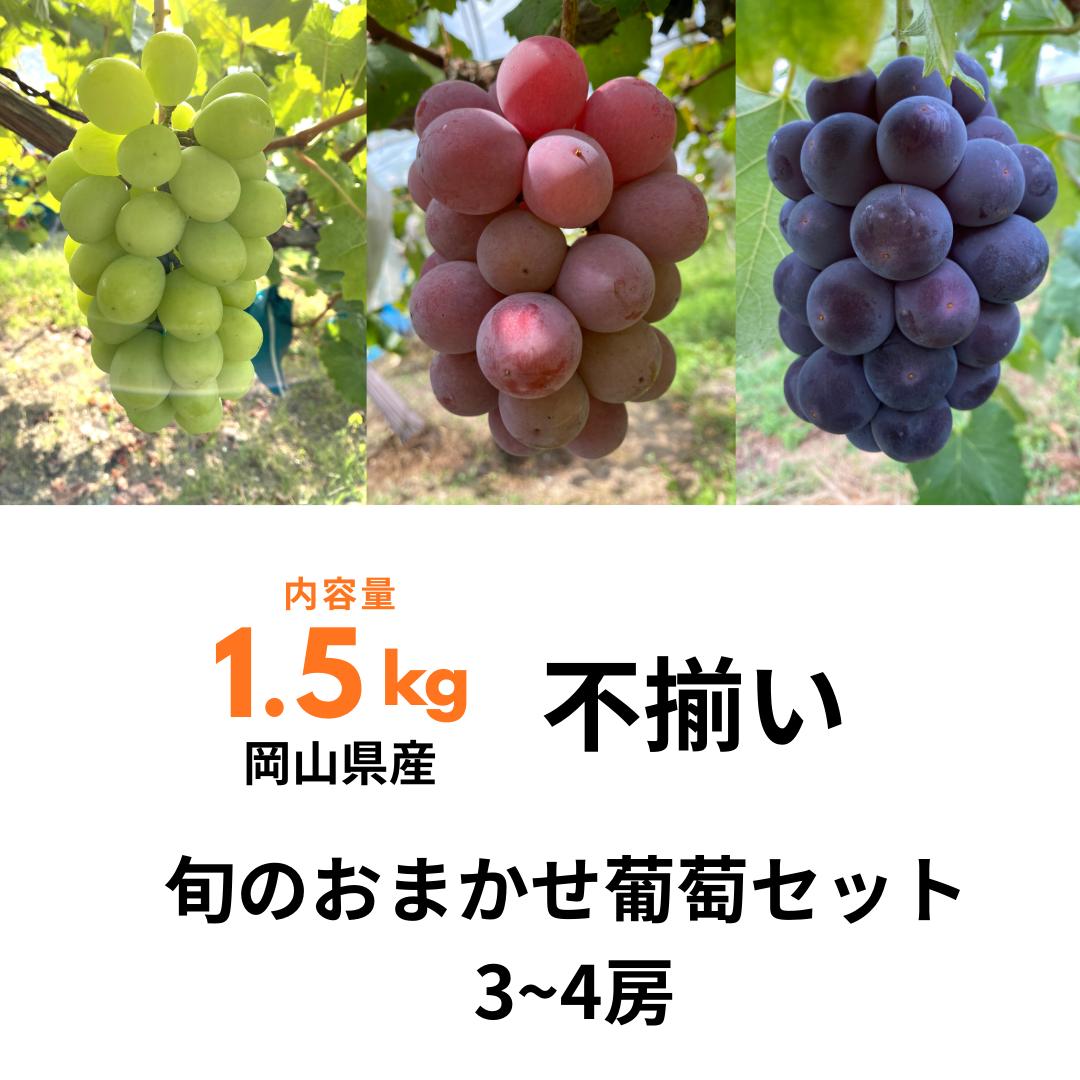 
                  ぶどう食べ比べセット 3～4房 1.5kg 訳あり 不揃い 家庭用 旬 岡山県産
                
