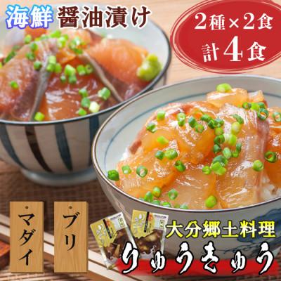ふるさと納税 杵築市 豊後絆屋 大分郷土料理りゅうきゅう漬けセット(お試し2種×2食)