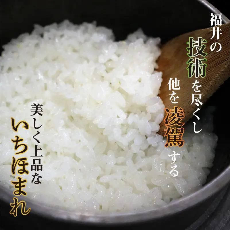 【令和7年産】（玄米）さんさん池見二代目がお届けする 福井県産いちほまれ 5kg [B-0219_04]