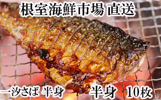 
            G-14022 無添加天然サバフィーレ10枚
          