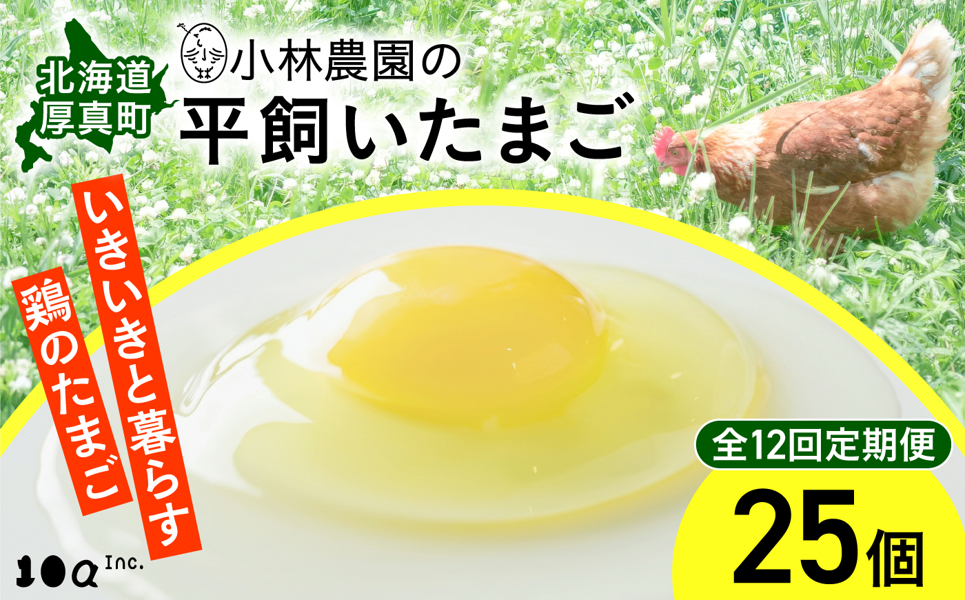 【全12回定期便】小林農園の平飼いたまご・無投薬 25個《厚真町》【テンアール株式会社】 有精卵 卵 鶏卵 玉子 生卵 平飼い 北海道 定期便 [AXAN006]