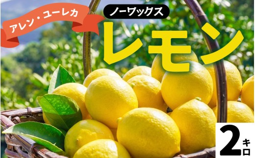 【期間限定】 淡路島産 アレン・ユーレカレモン 2kg 国産レモン 淡路島 瀬戸内レモン 檸檬 lemon 柑橘 レモネード  レモンサワー