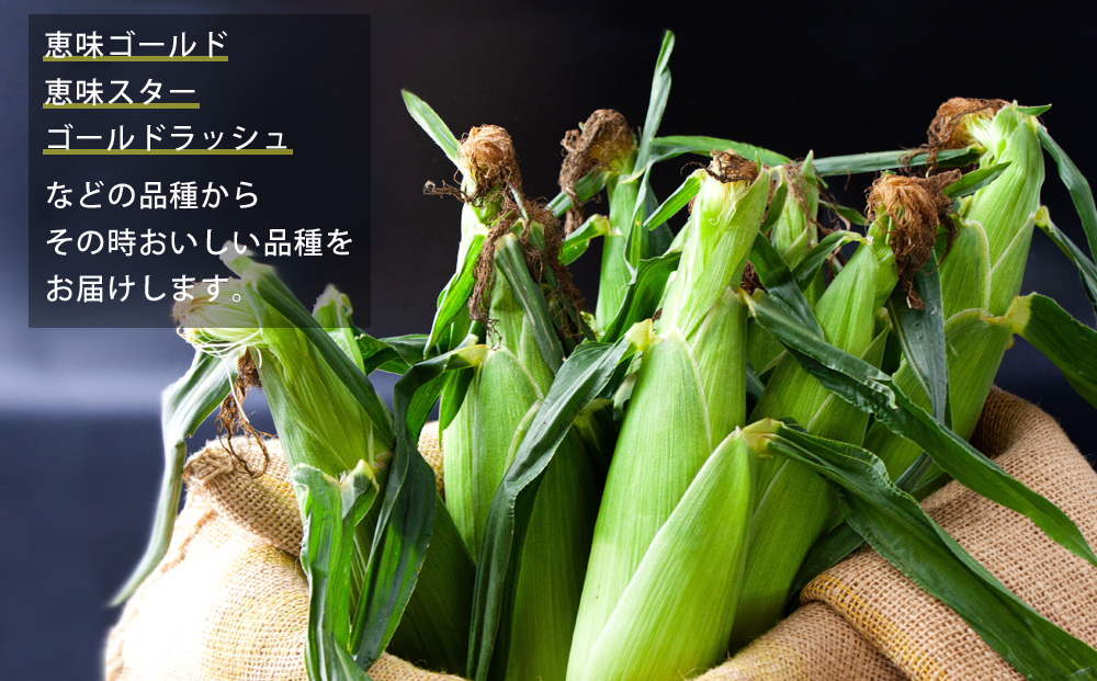 採れたて スイートコーン 5kg とうもろこし 恵味ゴールド 恵味スター ゴールドラッシュなど 甘い 野菜 新鮮 人気 旬 こだわり 期間限定 数量限定 熊本県 阿蘇市