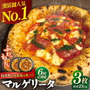 【ふるさと納税】【全6回定期便】桂川町の小麦を使ったマルゲリータ 3枚セット▼冷凍 窯焼き 本格 セット ピザ ピザセット 定番 記念日 贅沢 国産 国産小麦 パーティー クリスマス PIZZERIA TUTTI/桂川町[ADBH010]