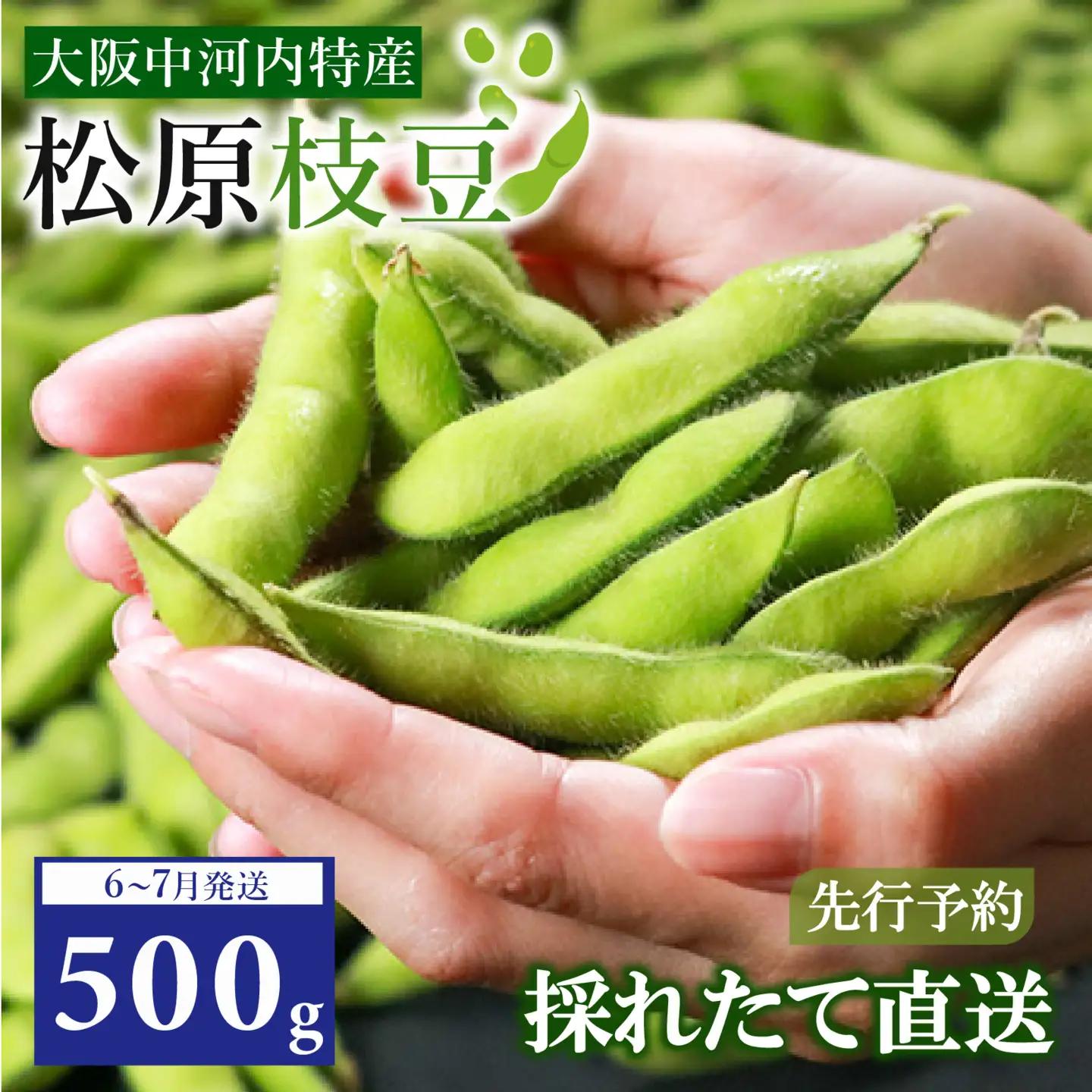 【濃厚な甘み】有機肥料 枝豆 大粒 500g 冷蔵 上田ファーム