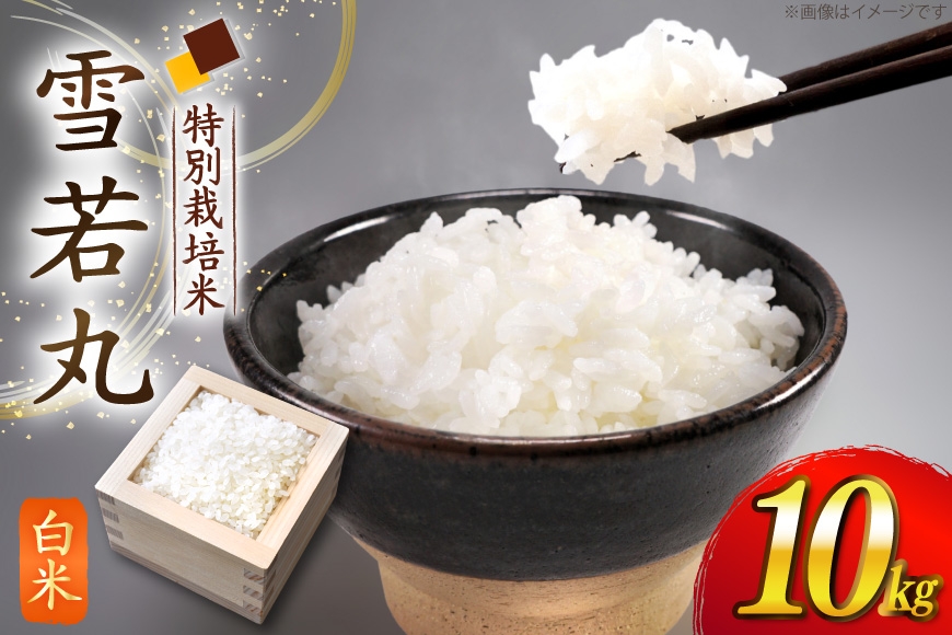 
                  米 令和7年度 特別栽培米 雪若丸 白米 10kg [上和田有機米生産組合 山形県 高畠町 tk06ays640019] ふるさと納税 お米 精米 ブランド米 ごはん ご飯 おこめ おコメ 10キロ 令和7年 令和7年産
                