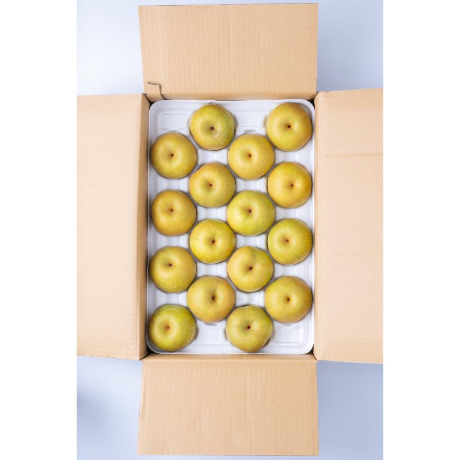 ＜JA八女産＞梨5ｋｇ