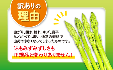 【訳あり】【先行予約】アスパラガス1.5kg 壱岐産 【2026年8月以降順次発送】[JGI005] アスパラ