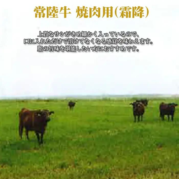 【常陸牛】焼肉用（霜降）約400g＜茨城県共通返礼品＞ No.441