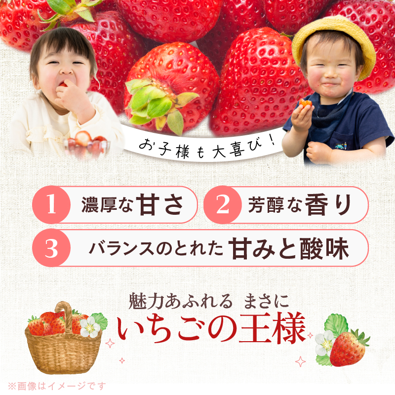 春くるめあまおう6パック