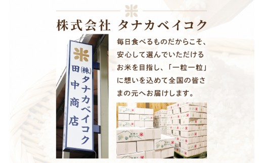 【2026年12月発送】米 ミルキークイーン 精米 15kg 令和8年産 茨城県産 お米 こめ コメ ごはん 白米 みるきーくいーん 茨城県産米 単一米 単一原料米 送料無料 国産 数量限定（85-R