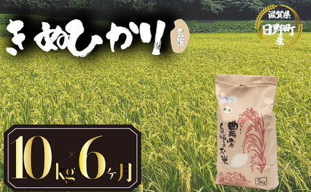 【先行予約】令和8年産 新米 きぬひかり 10kg 定期便 6ヶ月 玄米 米 