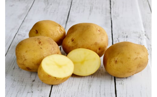 野菜セット 【2025年10月上旬～2026年1月下旬発送予定】 かぼちゃ カボチャ ジャガイモ じゃがいも にんにく セット 野菜 北海道 北広島市 