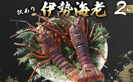 【 訳あり 伊勢海老 】 伊勢海老 2kg 5尾～7尾