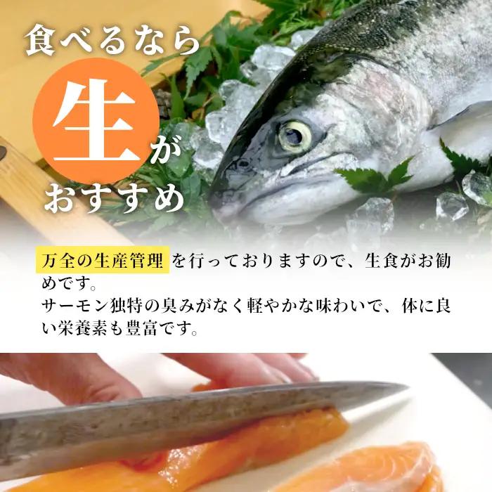 国産サーモン 生食可 無添加 絹姫サーモン カット 200g（100g×2) スペシャルトラウトサーモン 冷凍フィーレトラウトサーモン 鮭 魚 刺身 お刺身 ご当地 天然 産地直送 川育ち 味付けなし