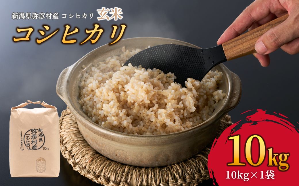 新潟県弥彦村石井農園 令和7年産コシヒカリ＜玄米 10kg＞ | 新潟県 弥彦村