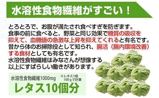 ヘルシースタイル雑炊18食セット 合計2セット(6種×3) 雑炊 和風生姜 海鮮シーフード うま辛チゲ スパイシーカレー ごぼう きのこ ヘルシー たんぱく質 食物繊維 美容 食べ比べ セット 詰合せ