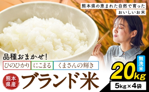 米  南関町 単一原料米 (ひのひかりorにこまるorくまさんの輝き) 無洗米 20kg《7-14日以内に出荷予定(土日祝除く)》熊本県産 国産 ひのひかり 無洗米 こめ コメ 20キロ
