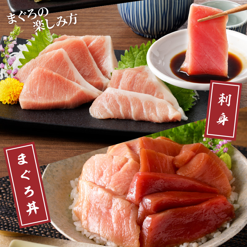 鷹島産本まぐろ本気の食べ比べ(大トロ・中トロ・赤身合わせて600g)( 養殖本まぐろ 鷹島本まぐろ 新鮮 マグロ )【C8-012】
