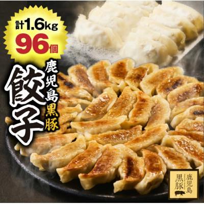ふるさと納税 鹿屋市 鹿児島黒豚 餃子1.6kg(96個)　1289-1　