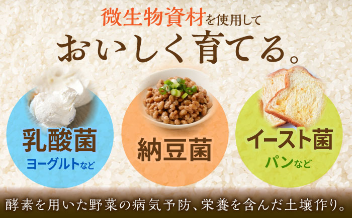 【安心安全の特別栽培米！】令和5年産 さがびより 5kg 武雄市橘産 /よしたか農園 [UCY001] 白米 米 お米 こめ 白米 精米 ブランド米