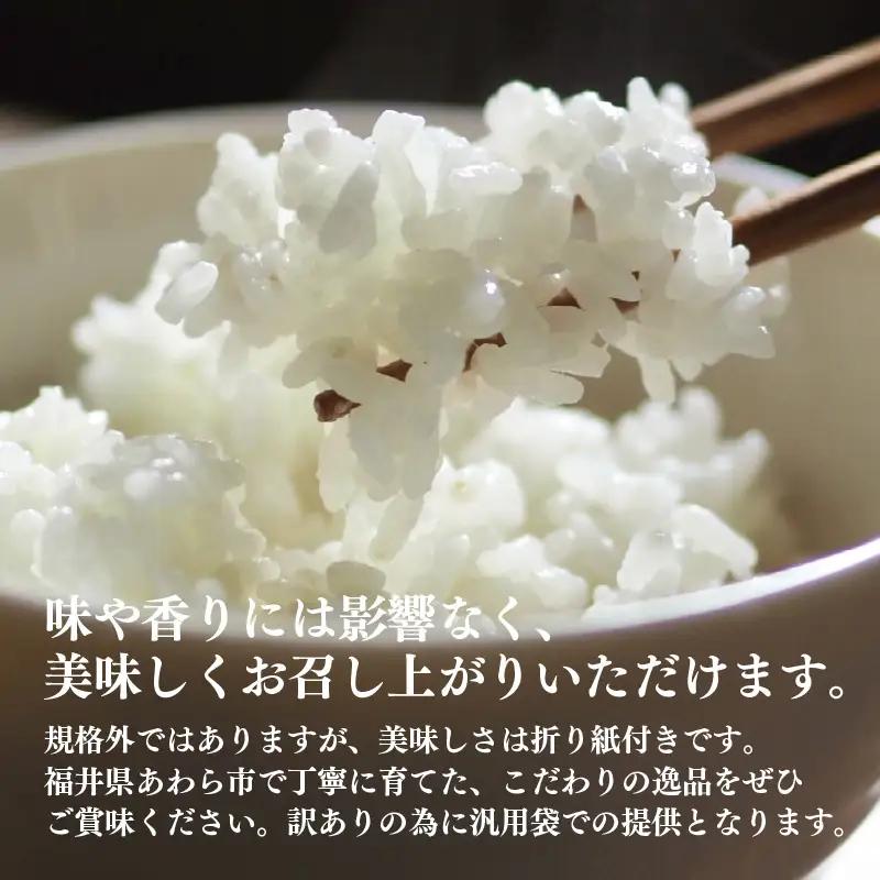 【訳あり】【数量限定】あわら市産 令和7年産 細雪米（コシヒカリ・ハナエチゼン・あきさかりのいずれか） 精米 10kg 《発送直前精米》 [aw012-a028]