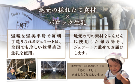 牧場の搾りたて生乳使用 てづくりジェラート 訳あり おまかせセット 24個 ジェラート