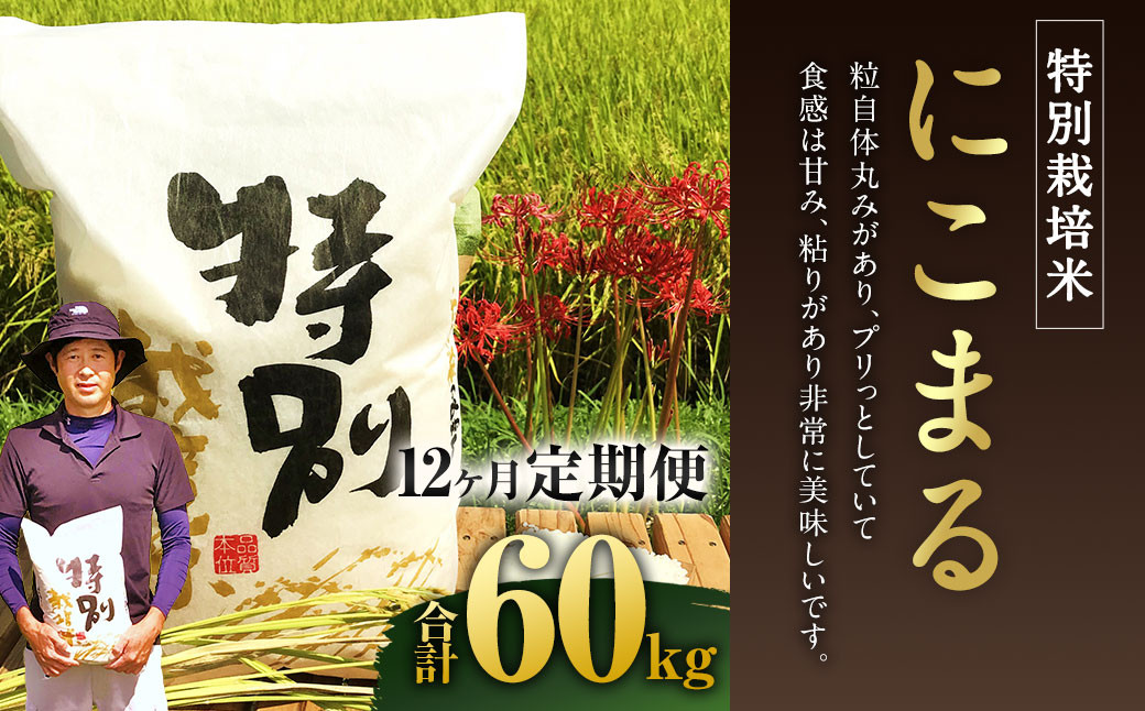 
【12ヶ月定期便】相良村産 特別栽培米 にこまる 5kg お米 白米
