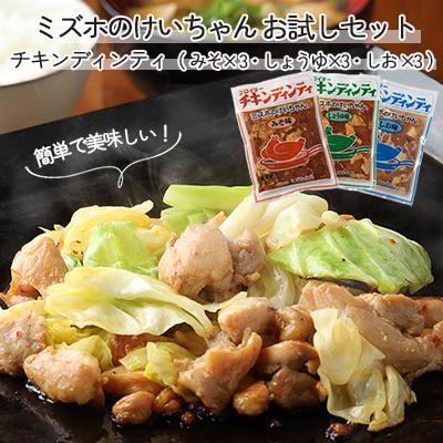 ふるさと納税 下呂市 ミズホのケイちゃん チキンディンティセット(みそ×3 しょうゆ×3 しお×3) 計9個【21-5】