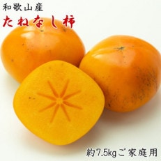 【秋の味覚】和歌山産たねなし柿ご家庭用約7.5kg(サイズおまかせまたは混合)【日高町】