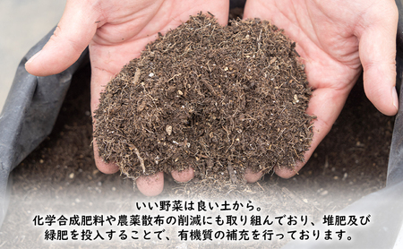 【2026年夏発送】ふらの とうもろこし 黄色 6本 2.2kg 北海道 富良野市 野菜 コーン とうきび イエロー 新鮮 直送 道産 ふらの 送料無料 数量限定 先着順