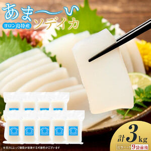 ヨロン島特産☆あま～いソデイカ 3kgセット
