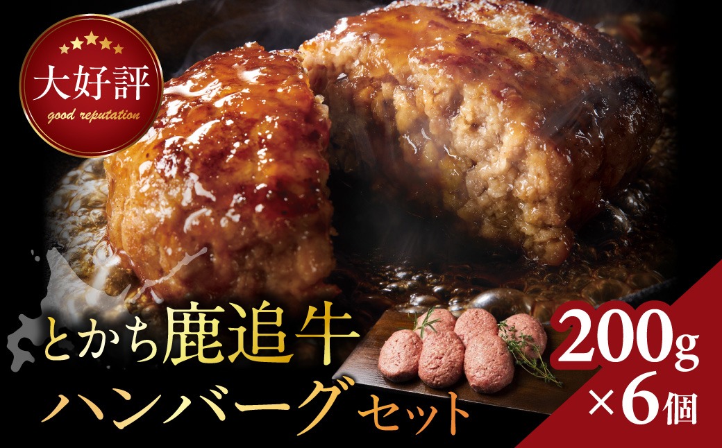 とかち鹿追牛ハンバーグセット 200g×6個 SKA007