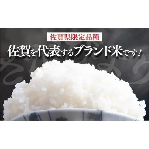 [令和7年産] ＜定期便12回＞  さがびより 白米 5kg×12回