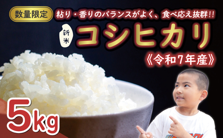 コシヒカリ 5kg 令和7年産コシヒカリ 新米 精米 米 [えひめ南農業協同組合] jaehime001