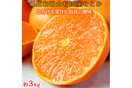 とろける食感!ジューシー柑橘 せとか 約3kg ※2026年2月下旬～3月下旬頃に順次発送予定
