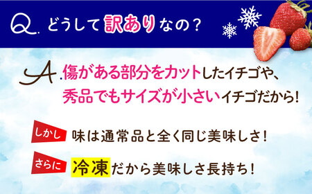 【訳あり】【数量限定】冷凍 カットいちご「恋みのり」 加工用 約800g×4P / 冷凍 いちご イチゴ 苺 フルーツ 冷凍フルーツ ジャム / 南島原市 / あゆみfarm[SFF005]