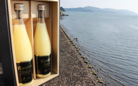 なるた果樹園の文旦ジュース720ml