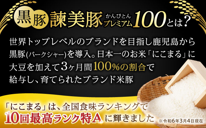 黒豚諫美豚プレミアム100 ロースステーキ 450g（150g×3枚） / 豚肉 ぶたにく ステーキ すてーき ロース ろーす テキカツ 焼肉 生姜焼き / 諫早市 / 株式会社土井農場 [AHAD0