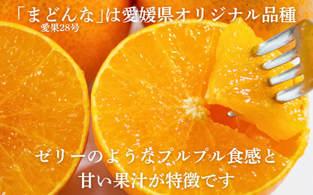 【紅まどんなと同品種】【訳あり】まどんな2kg 愛なんよ